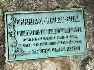 Ephraïm Bull epitaph